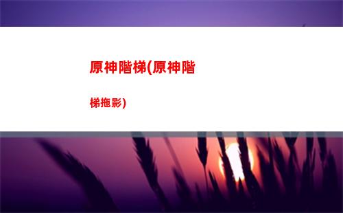 原神淥華池火炬解密(原神淥華池北邊火炬)