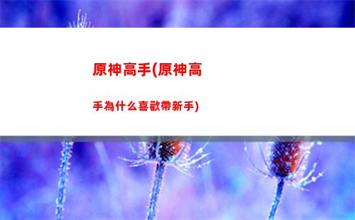 原神飛翔(原神飛翔怎么飛)