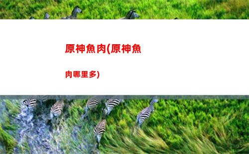 原神原粹精華(原神濃縮精華)