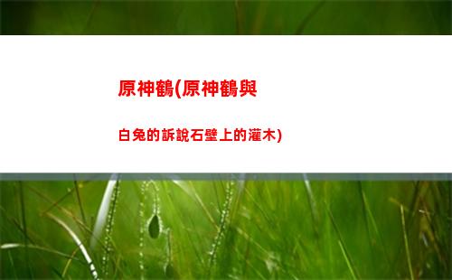 原神好睡族(原神好睡族機關)