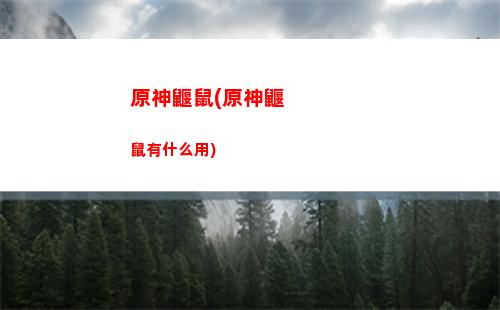 原神夜泊石在哪找工作