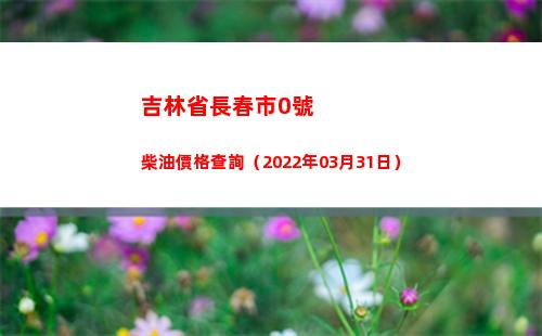 吉林省長春市0號柴油價格查詢（2022年03月31日）