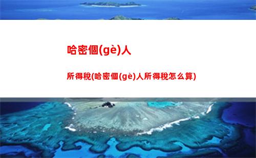 經(jīng)營所得個(gè)人所得稅舊(經(jīng)營所得企業(yè)所得稅)
