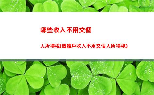 個人所得稅w(個人所得稅完稅證明在哪里打印)