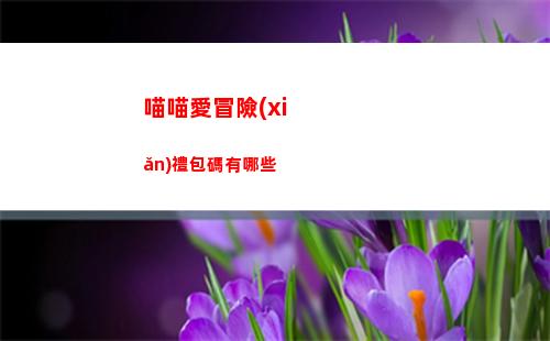 喵喵愛冒險(xiǎn)禮包碼有哪些