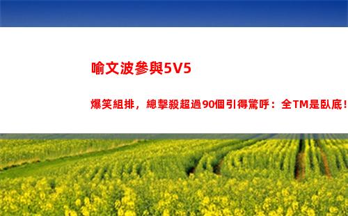 喻文波參與5V5爆笑組排，總擊殺超過90個引得驚呼：全TM是臥底！