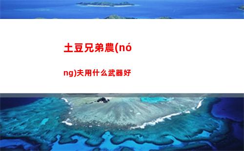 土豆兄弟農(nóng)夫用什么武器好