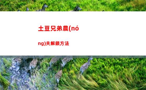 王國(guó)之淚沃托里度假勝地計(jì)劃怎么做