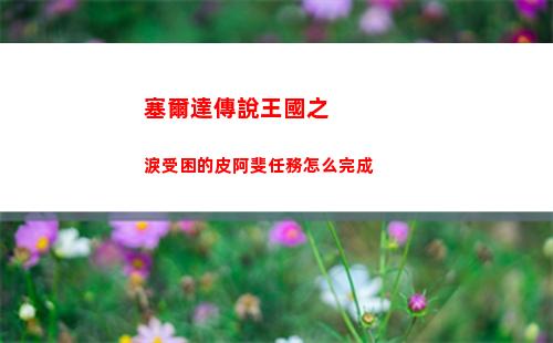 塞爾達傳說王國之淚受困的皮阿斐任務怎么完成