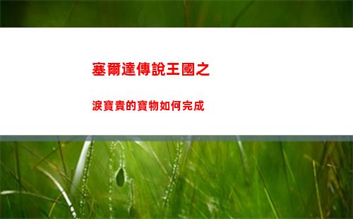 塞爾達傳說王國之淚寶貴的寶物如何完成