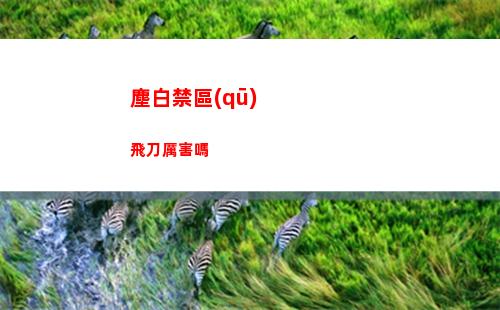 塵白禁區(qū)飛刀厲害嗎