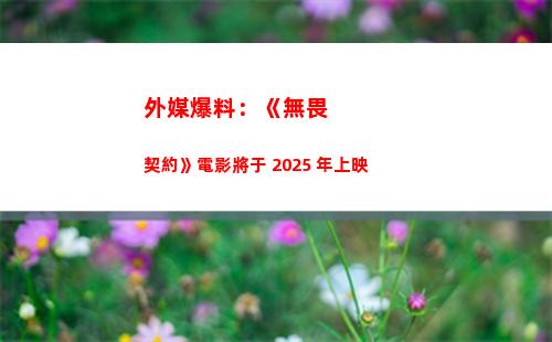 外媒爆料：《無畏契約》電影將于 2025 年上映