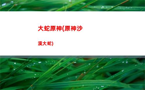 動畫原神(動畫原神頭像)