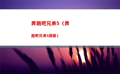 奔跑吧兄弟5（奔跑吧兄弟5游戲）