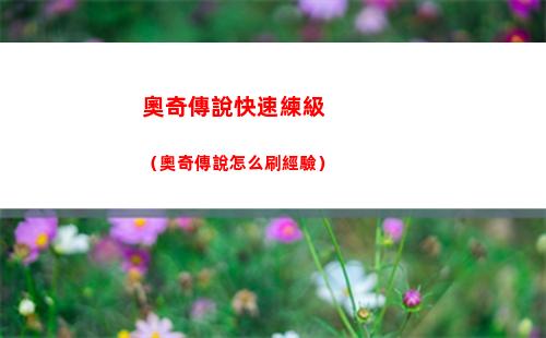 暗夜獵手薇恩（暗夜獵手薇恩出裝）