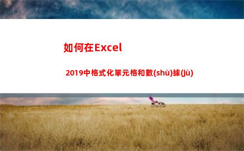 如何在Excel 2019中格式化單元格和數(shù)據(jù)(如何在excel表中篩選出相同的名字)