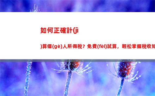個(gè)人所得稅稿酬(個(gè)人所得稅稿酬所得計(jì)算公式)