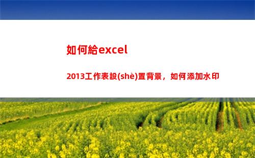 如何給excel2013工作表設(shè)置背景，如何添加水印(如何給excel2007文件加密碼)