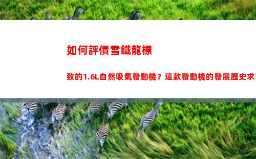 如何評價雪鐵龍標致的1.6L自然吸氣發動機？這款發動機的發展歷史求高人普及一下？(雪鐵龍車評價如何)