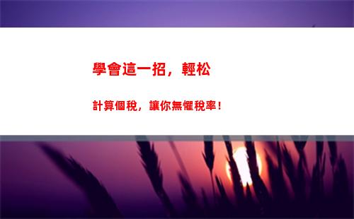 個人所得稅匯算補稅(個人所得稅匯算補稅典型案人列)