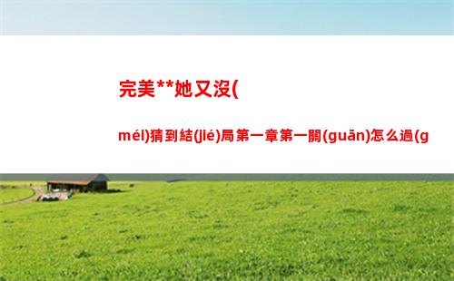 塞爾達(dá)傳說(shuō)王國(guó)之淚無(wú)限復(fù)制材料怎么用