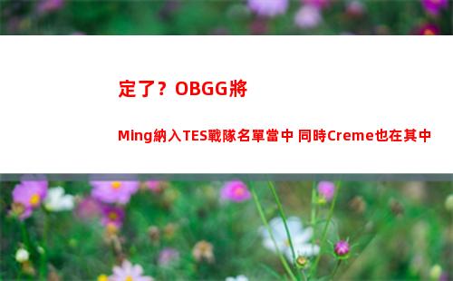 定了？OBGG將Ming納入TES戰隊名單當中 同時Creme也在其中