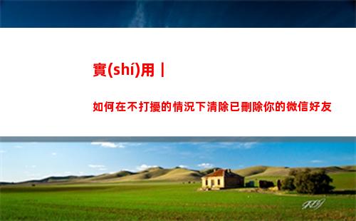 實(shí)用｜如何在不打擾的情況下清除已刪除你的微信好友