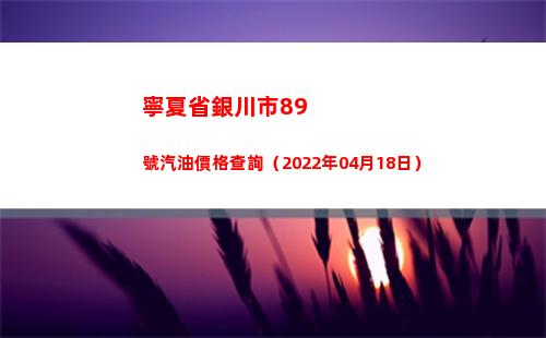 寧夏省銀川市89號汽油價格查詢（2022年04月18日）
