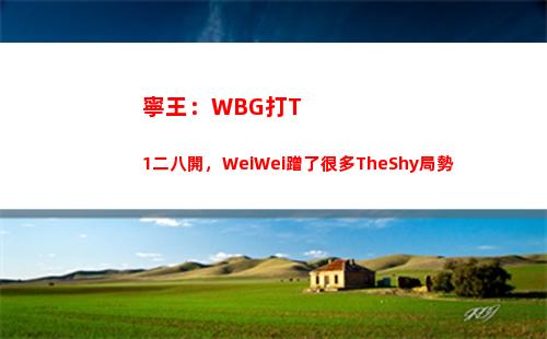 寧王：WBG打T1二八開，WeiWei蹭了很多TheShy局勢