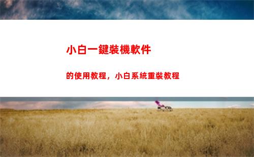 小白一鍵裝機軟件的使用教程，小白系統重裝教程(小白一鍵重裝系統)