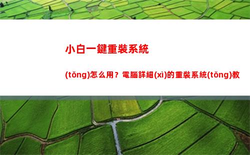 小白一鍵重裝系統(tǒng)怎么用？電腦詳細(xì)的重裝系統(tǒng)教程看這里(小白一鍵重裝系統(tǒng)會(huì)丟失電腦文件嗎)