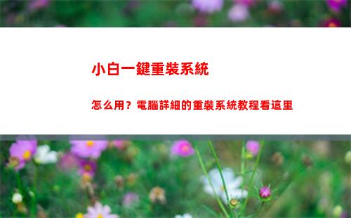 小白一鍵重裝系統怎么用？電腦詳細的重裝系統教程看這里(小白一鍵重裝系統會丟失電腦文件嗎)