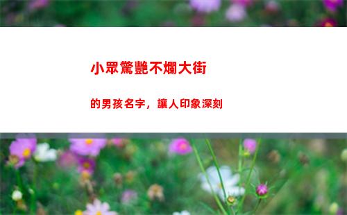 小眾驚艷不爛大街的男孩名字，讓人印象深刻(不會爛大街的小眾文案喪)