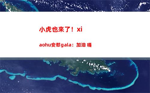 小虎也來了！xiaohu安慰gala：加油 嘠