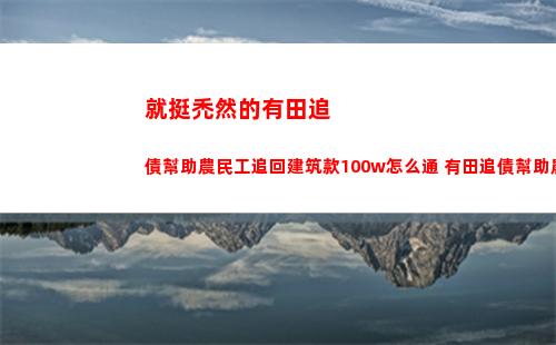 就挺禿然的有田追債幫助農民工追回建筑款100w怎么通 有田追債幫助農民工追回建筑款100w通關攻略