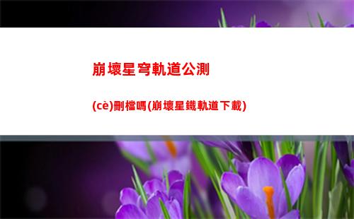 崩壞星穹軌道角色表情(崩壞星穹軌道 角色)