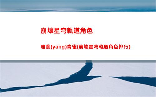 崩壞星穹軌道私人服(崩壞星穹軌道國際服)