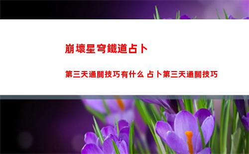 白夜極光5星強度角色推薦
