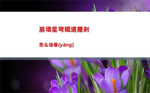 白荊回廊戰(zhàn)斗機(jī)制是什么