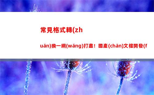 常見格式轉(zhuǎn)換一網(wǎng)打盡！國產(chǎn)文檔開發(fā)包Spire.Office 2021最新發(fā)布(音視頻格式轉(zhuǎn)換軟件常見的有)