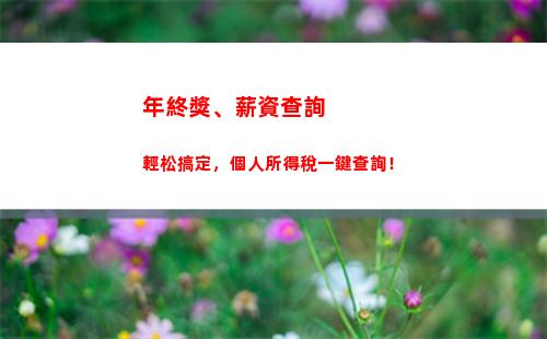 如何查詢個人所得稅真偽？快速解析真偽查詢方法！(63字)