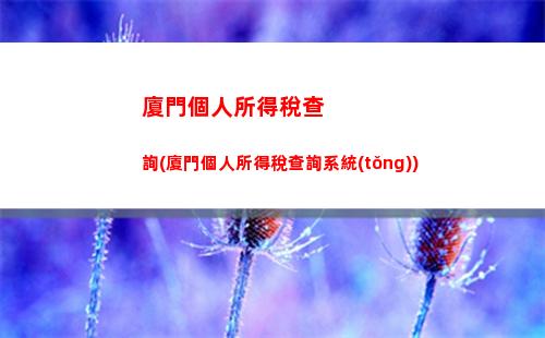 南京個人所得稅查詢(南京個人所得稅在哪里查詢)