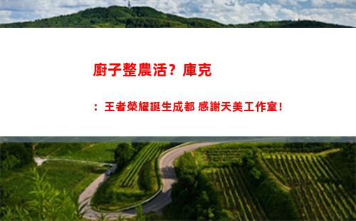 廚子整農活？庫克：王者榮耀誕生成都 感謝天美工作室！