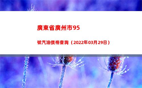 廣東省廣州市95號汽油價格查詢（2022年03月29日）
