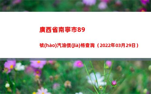 廣西省南寧市89號(hào)汽油價(jià)格查詢（2022年03月29日）