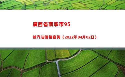 廣西省南寧市95號汽油價格查詢（2022年04月02日）