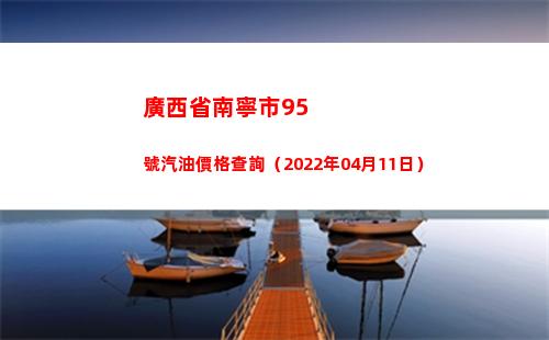 廣西省南寧市95號汽油價格查詢（2022年04月11日）插圖