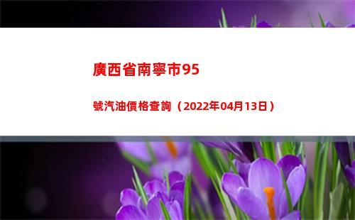廣西省南寧市95號汽油價格查詢（2022年04月13日）插圖