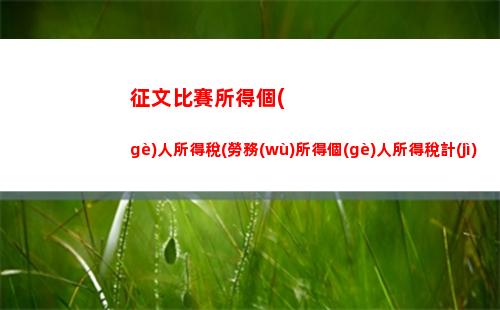 計(jì)算個(gè)人所得稅計(jì)算器(計(jì)算個(gè)人所得稅計(jì)算器Android)
