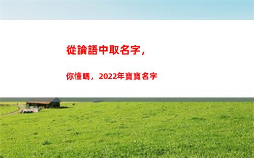 從論語中取名字，你懂嗎，2022年寶寶名字(從論語中取公司名字)